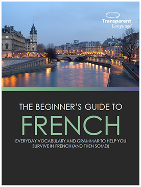 The Beginner's Guide to French