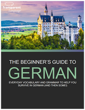 The Beginner's Guide to German