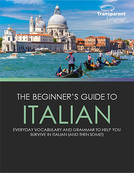The Beginner's Guide to Italian