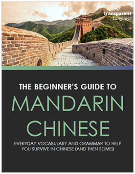 The Beginner's guide to Mandarin Chinese