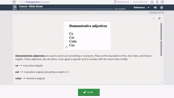 Beginner French for Professionals - Grammar Lesson