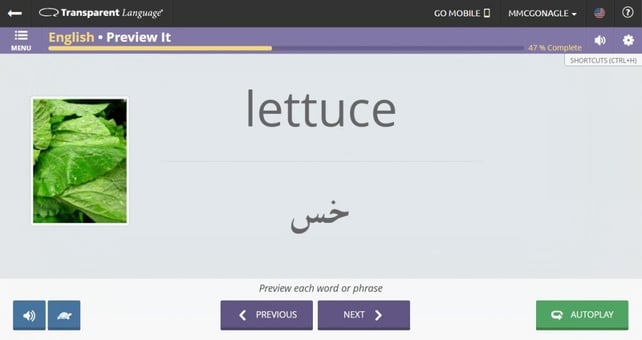 ESL course for Arabic speakers