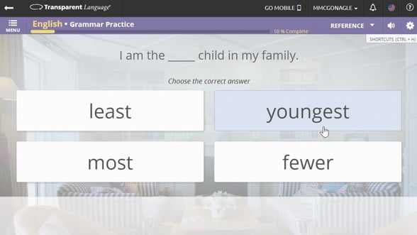 transparent language online grammar lessons