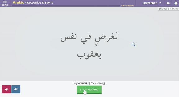 transparent language vocabulary learning